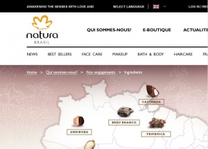 N°1-NATURA天然巴西美容产品网站和商店设计 [15]