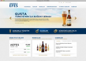 阿纳多卢 欧洲品牌啤酒企业网站设计[11P]