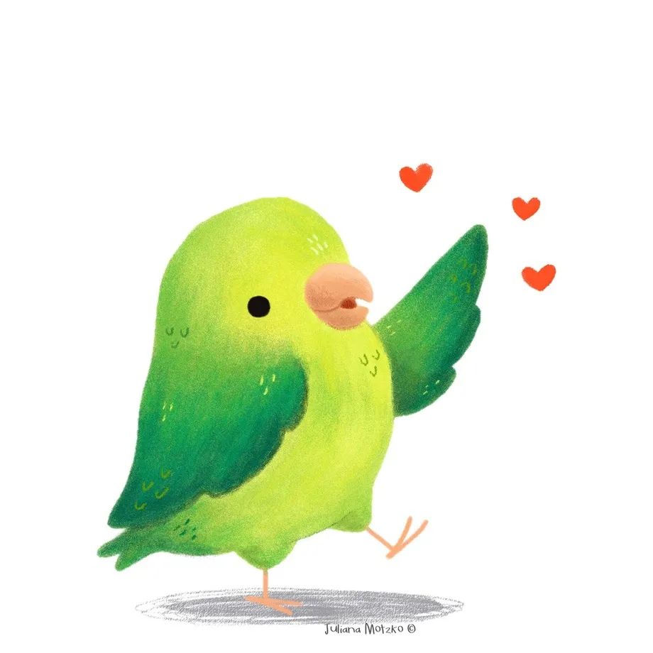 巴西Juliana Motzko可爱的鸟类插画