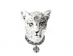 戴上珠宝饰品的动物:Natalia Bivol动物肖像插画素材中国网精选