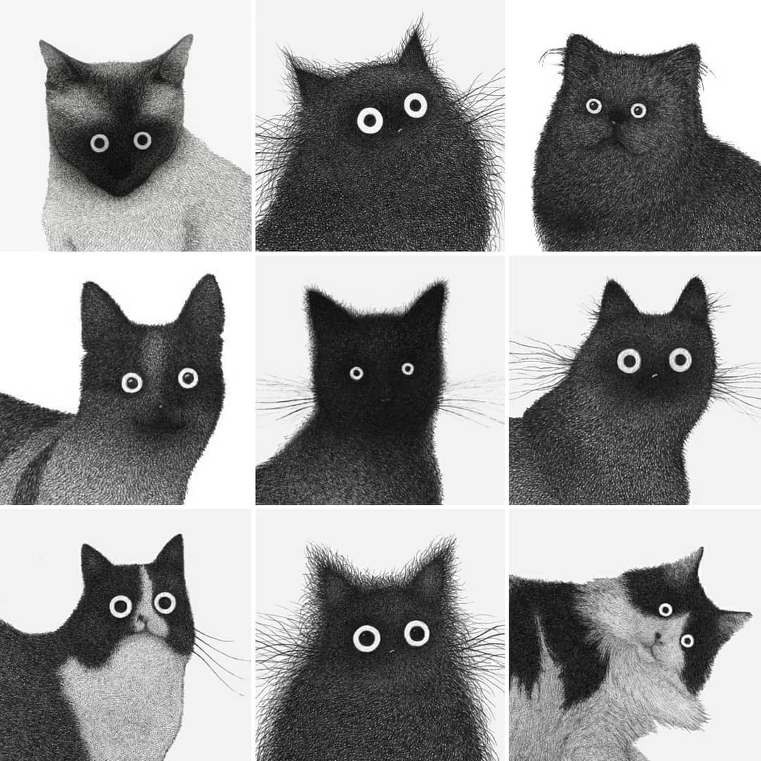 无数细线勾画的可爱猫咪：Luis Coelho的可爱插画作品