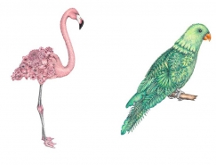 Chloé Mickham超现实风格手绘动物插画素材中国网精选