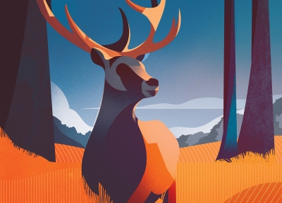 Charlie Davis美丽的动物插画作品16设计网精选