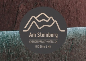 德国TEINBERG酒店山体轮廓品牌设计 [16P]