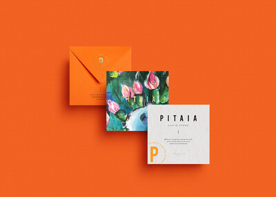 PITAIA橙色品牌VI视觉设计[13P]