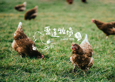 鸡肉品牌视觉标志设计[7P]