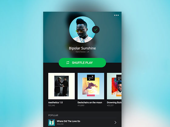 Spotify Profile16设计网精选sketch素材