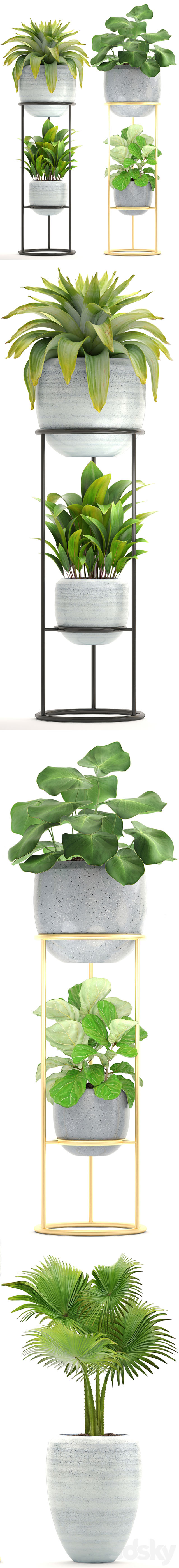 绿色盆栽3D模型