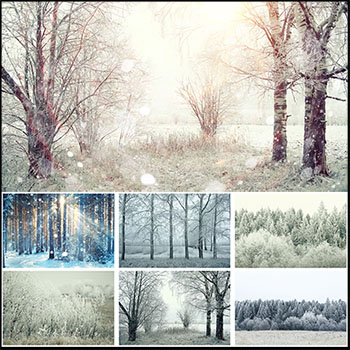 25P冬季森林雪景JPG高清图片