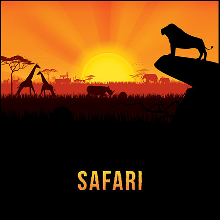 非洲部落日落动物背景素材