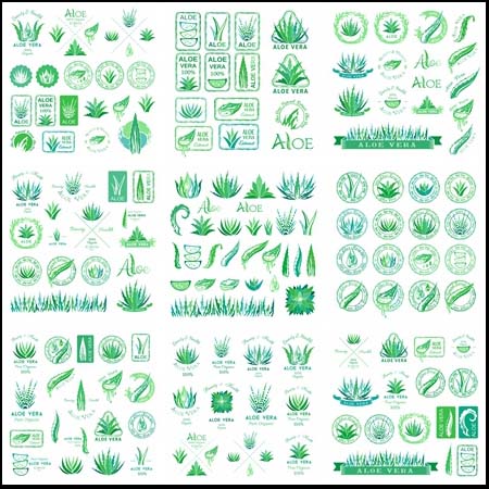 绿色植物芦荟普贤居矢量图标精选