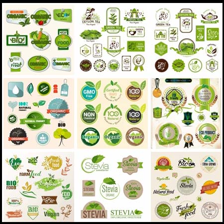 绿色有机天然蔬菜水果认证16图库矢量图标精选