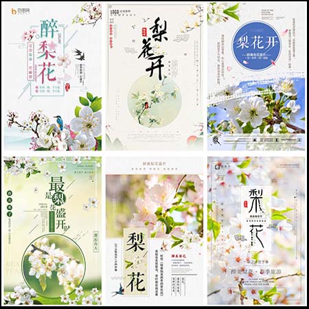 中国风梨花节春季旅游促销PSD海报
