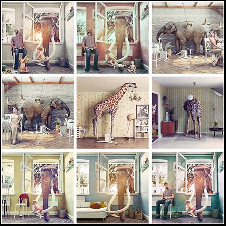 屋子里的大象4K高清图片