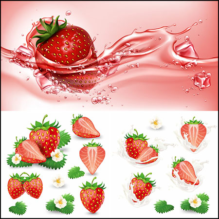 9款新鲜草莓奶油草莓和草莓汁普贤居矢量插图精选
