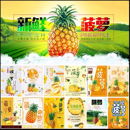 17款水果超市新鲜菠萝宣传促销