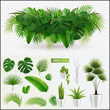 6款绿色植物盆栽叶子16图库矢量插图精选