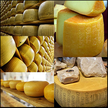 新鲜的奶酪头JPG高清图片