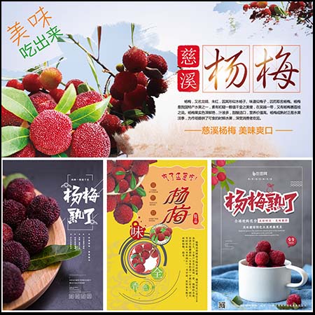杨梅原生态水果宣传海报PSD分层素材