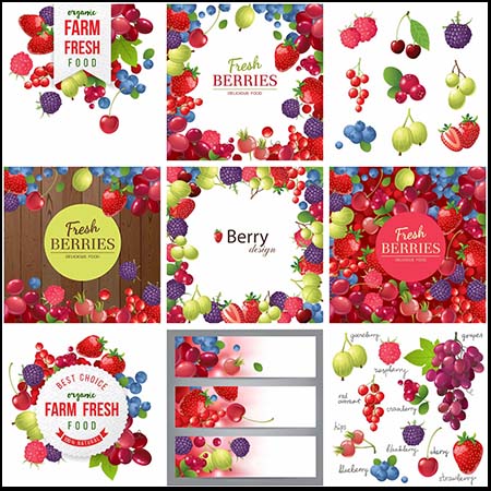 草莓蓝莓水果食物横幅背景和插图素材
