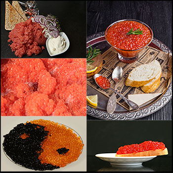 红色和黑色鱼子酱JPG高清图片