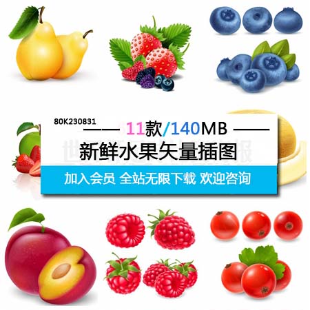 新鲜可口的水果素材中国矢量插图精选