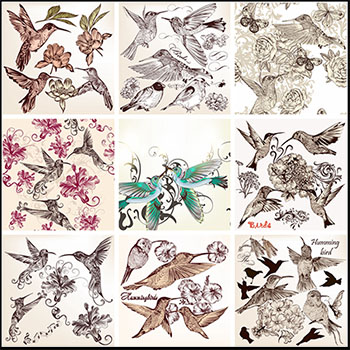 15套手绘鸟类矢量合集插图