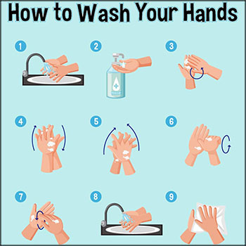 洗手9步法素材中国矢量插图精选