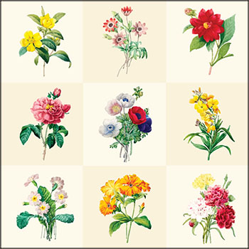 21朵盛开的花卉插图16图库矢量素材精选