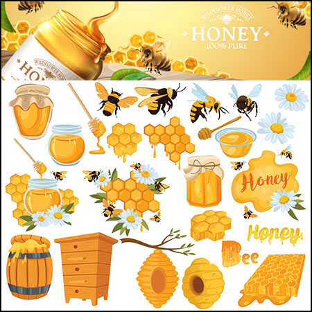 7套蜜蜂猜谜蜂蜜海报易图库矢量插图精选