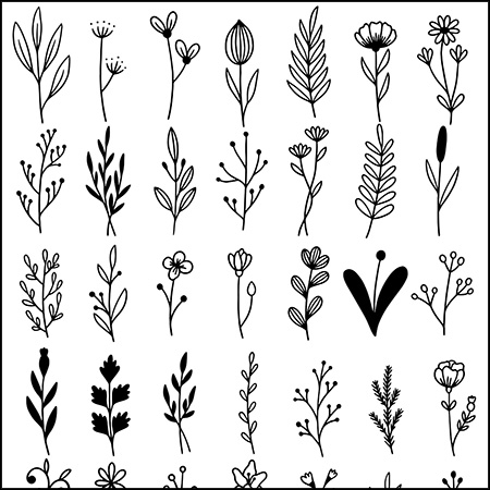 6套线性花卉植物16图库矢量插图精选
