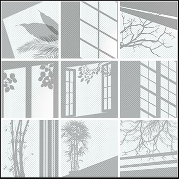 9款玻璃窗映射出的树和植物阴影素
