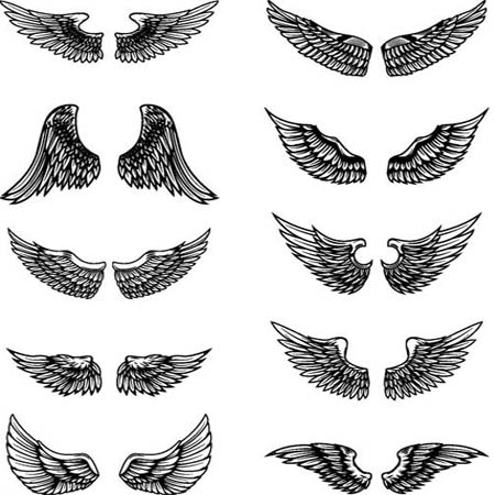 15个翅膀16设计网矢量元素精选