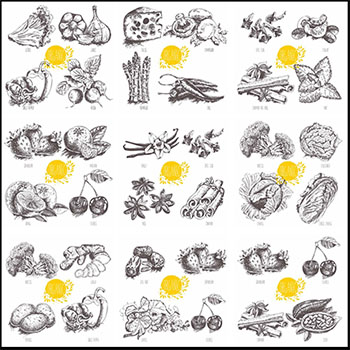 20套蔬菜素描16图库矢量插图精选
