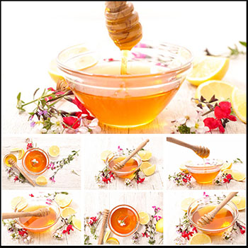 10P蜂蜜和花8K高清JPG图片