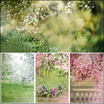 12款夏季郊外野花小草花卉背景JPG高清图片