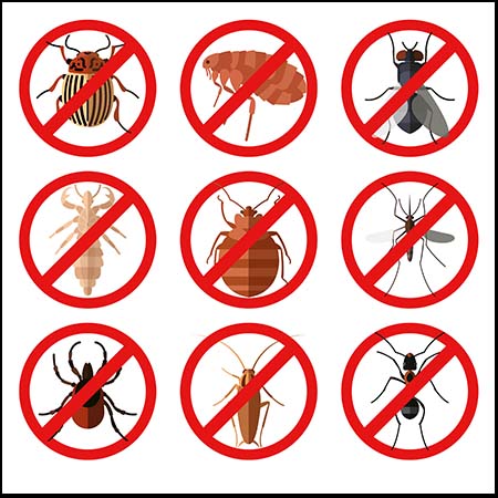 蚊虫害虫昆虫控制限制矢量图表