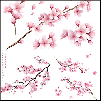 8款春季桃花桃树枝易图库矢量插图精选背景