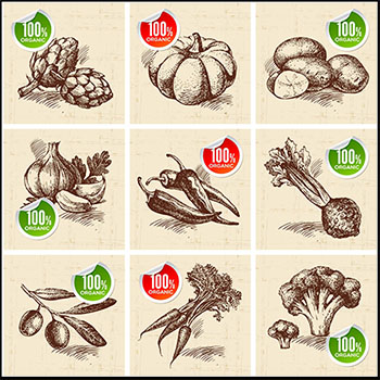 24款蔬菜素描易图库矢量插图精选