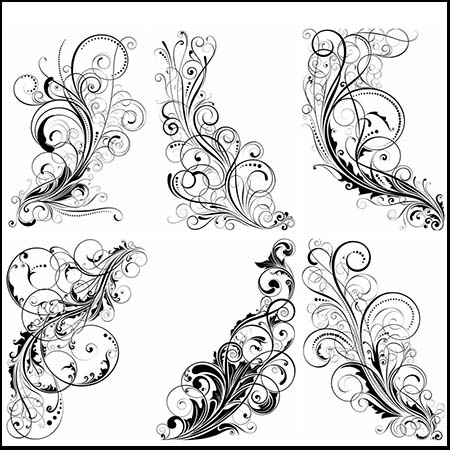 黑白花卉装饰16设计网矢量素材精选