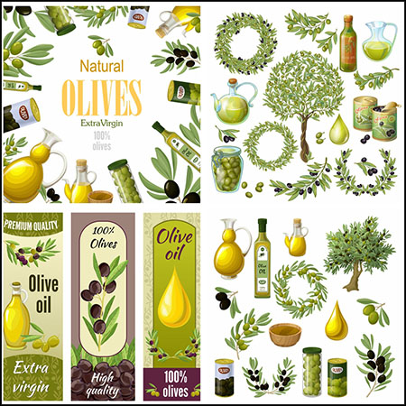 15套植物橄榄油海报插图普贤居矢量素材精选