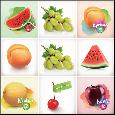 9种水果矢量设计素材