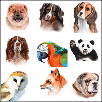 动物和鸟类手绘水彩插画16图库矢量素材精选