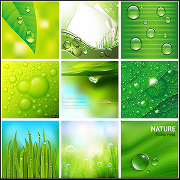 绿色小草和水滴16图库矢量背景精选素材