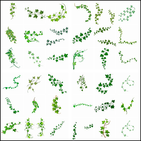 35款绿色常春藤爬山虎植物装饰边框PSD分层模板