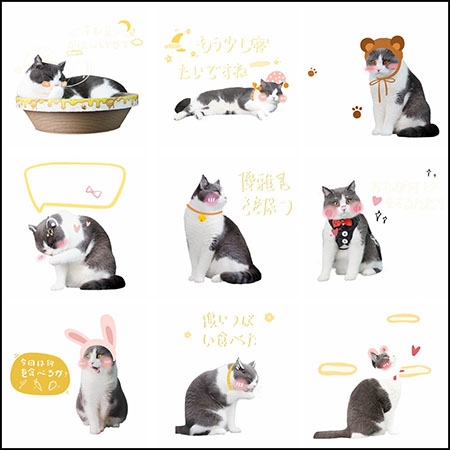 14款可爱猫咪日常生活插图PSD源文件