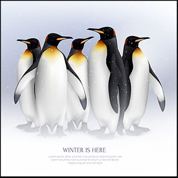 5套可爱企鹅16素材网矢量插图精选
