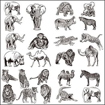 6套森林动物老虎 狮子 猩猩 河马 骆驼大象斑马卡通插图