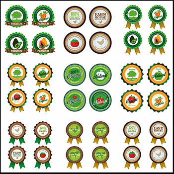 16套绿色有机水果贴签标签素材中国矢量插图精选