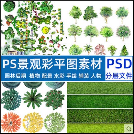 园林景观彩平图PSD素材植物手绘辅